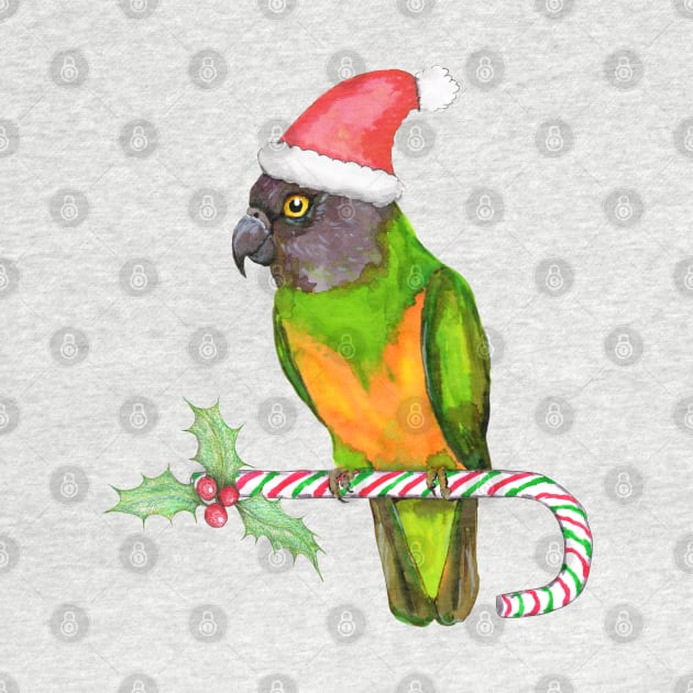 Senegal parrot Christmas style by Bwiselizzy